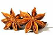 Sternanis