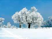 Ernährung im Winter