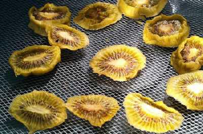 Gedörrte Kiwi