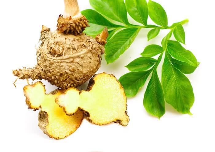 Konjac / Konjak / Konjakwurzel / Teufelszunge