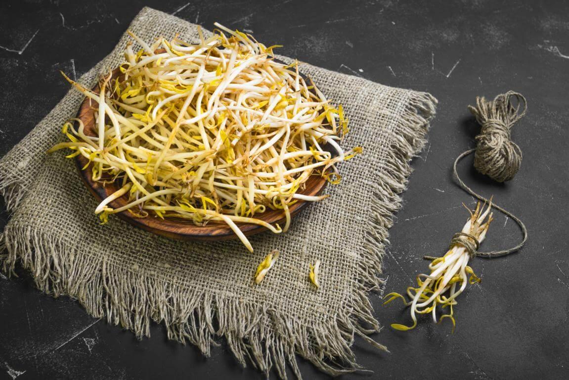 Sojasprossen Rezepte | iss-gesund.ch