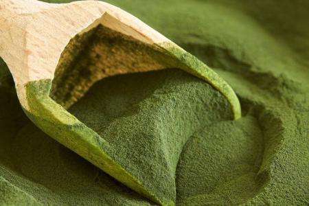 Chlorella Alge Pulver