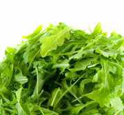 Rucola