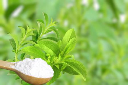 Stevia